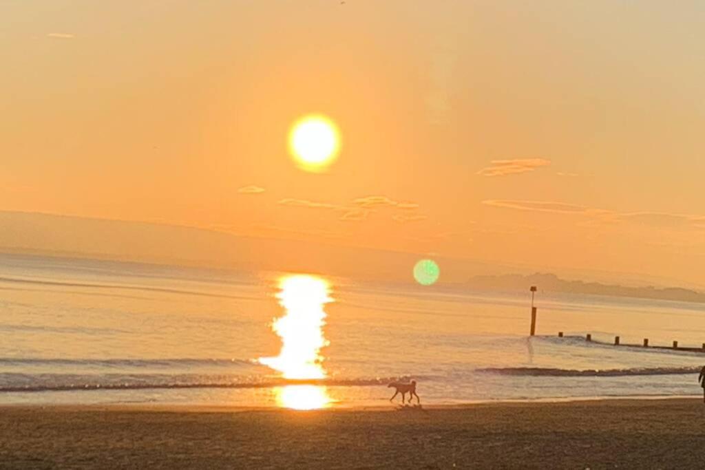 Bournemouth Nr Town Beach Train Coach Shops Lovely Entire Apartment Allows Quiet Good Dogs Eksteriør bilde