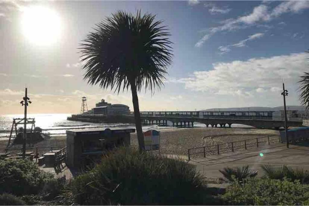 Bournemouth Nr Town Beach Train Coach Shops Lovely Entire Apartment Allows Quiet Good Dogs Eksteriør bilde
