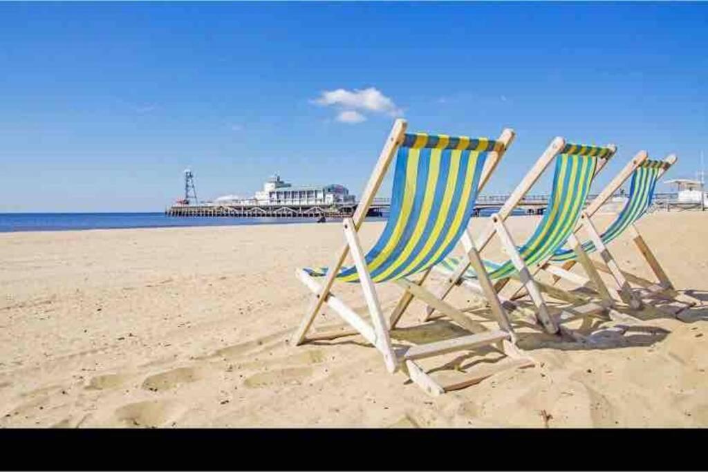Bournemouth Nr Town Beach Train Coach Shops Lovely Entire Apartment Allows Quiet Good Dogs Eksteriør bilde
