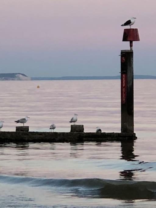 Bournemouth Nr Town Beach Train Coach Shops Lovely Entire Apartment Allows Quiet Good Dogs Eksteriør bilde